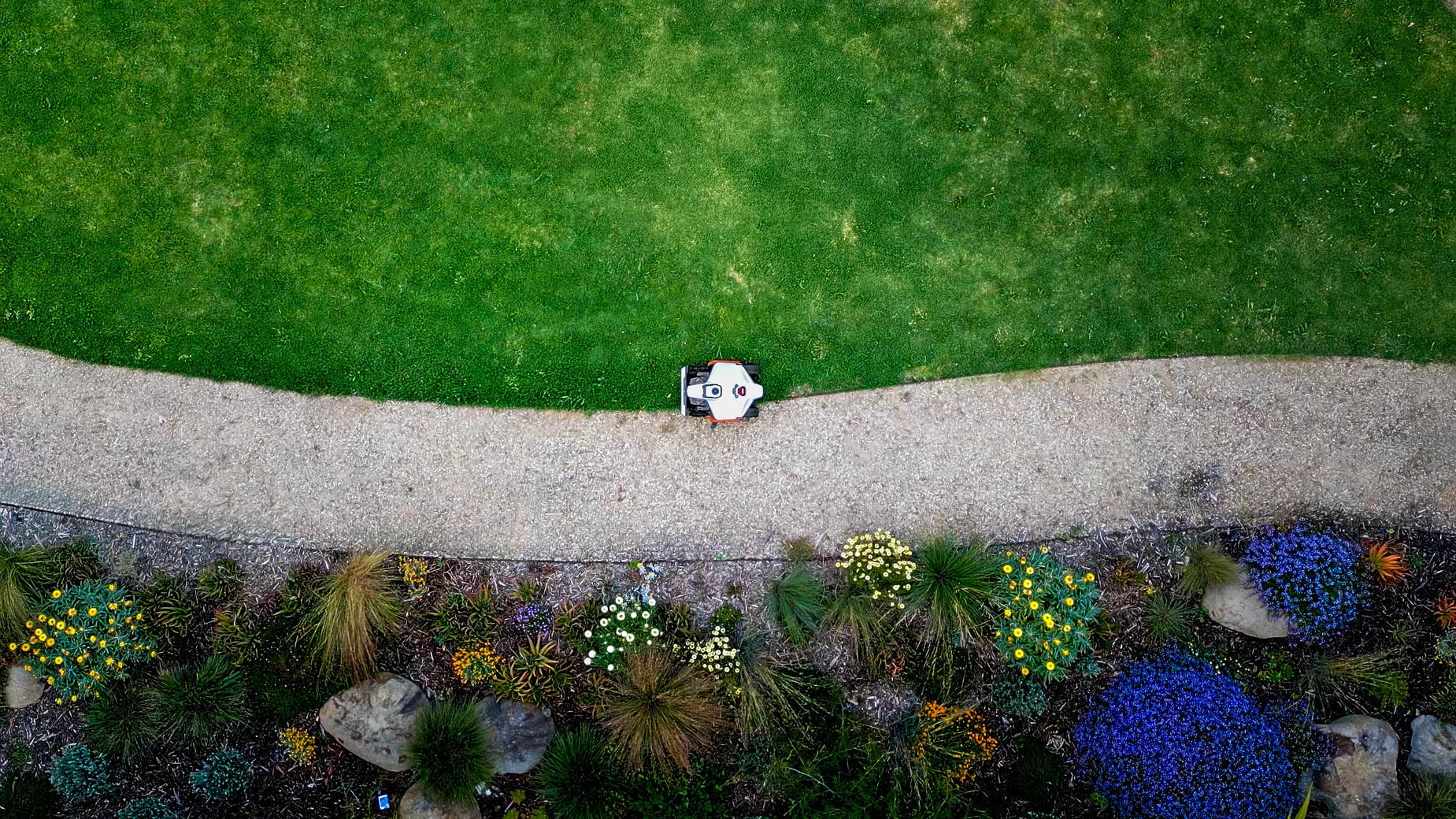 Robotic mower maintaining the edge of a commercial property